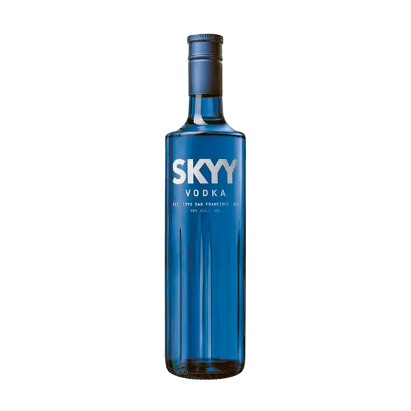 millennium-plaza-mall-and-hotel - Skyy