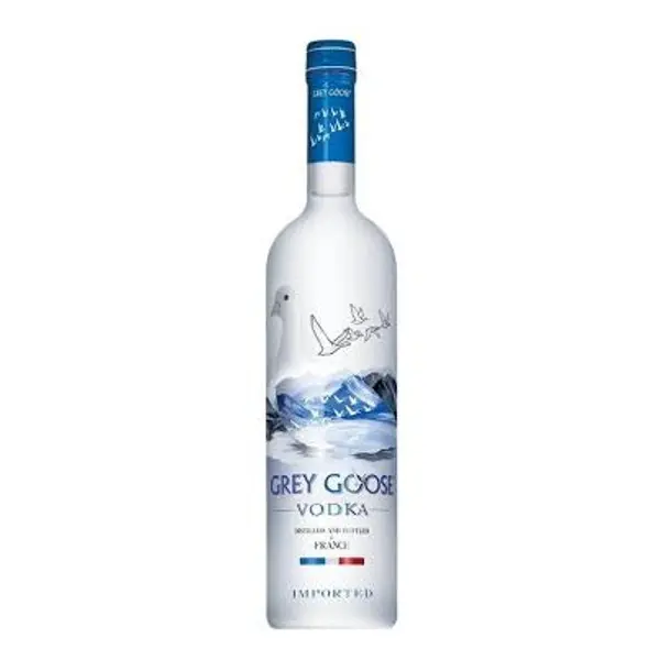 millennium-plaza-mall-and-hotel - Grey Goose