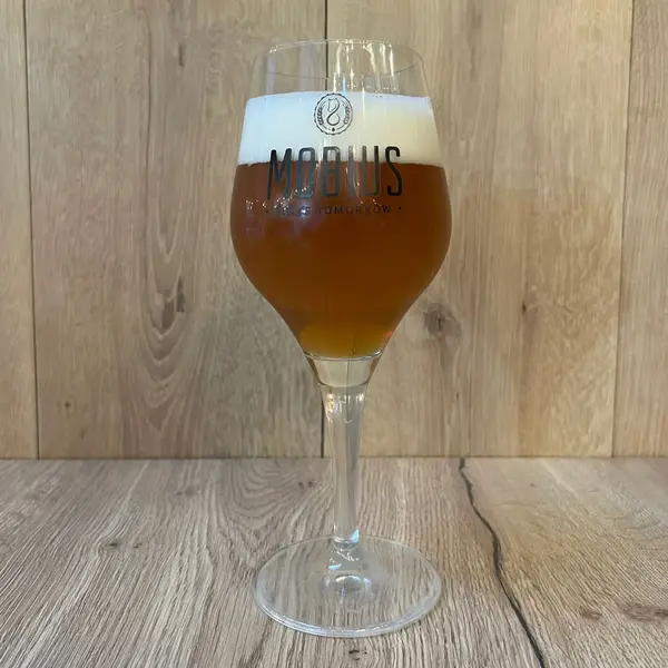 mokko-padel-project - Mobius