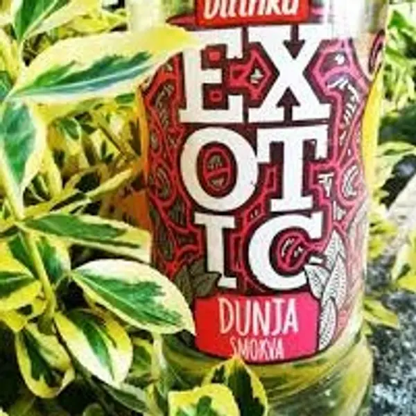 morocco-shisha-bar - Exotic dunja