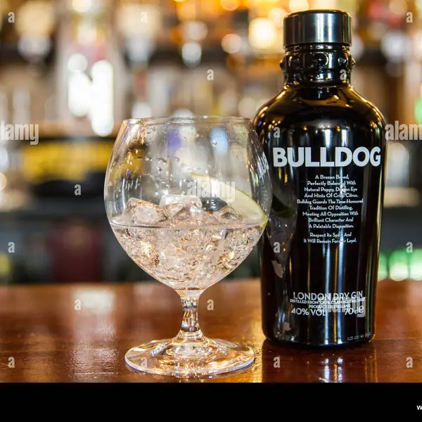 ocean-anari-restaurant-e-lounge-bar - Gin Bulldog London (Gordons) (Simples)