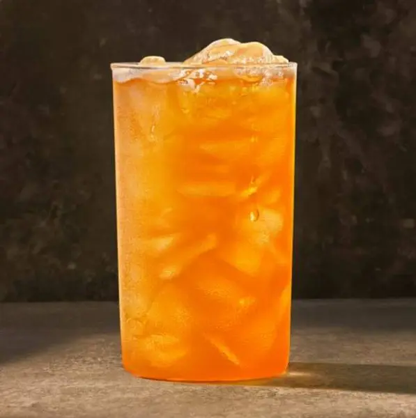 panera - NEW Citrus Punch - Naturally Flavored