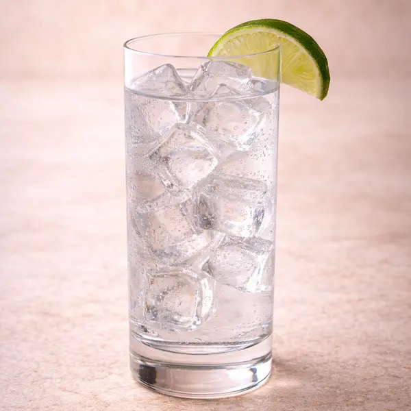 pantheon-hotel - Gin