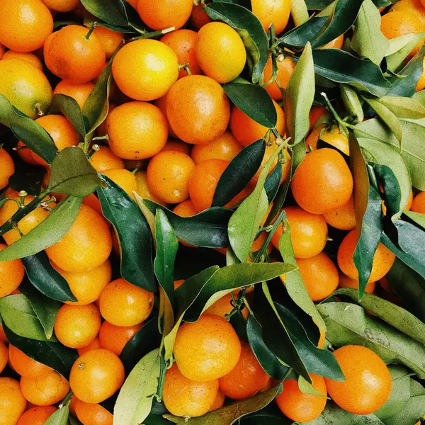 peixe-do-cabo - granizado de naranja