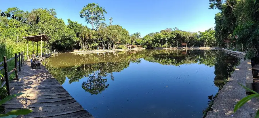 pesque-e-pague-santa-maria-fortaleza