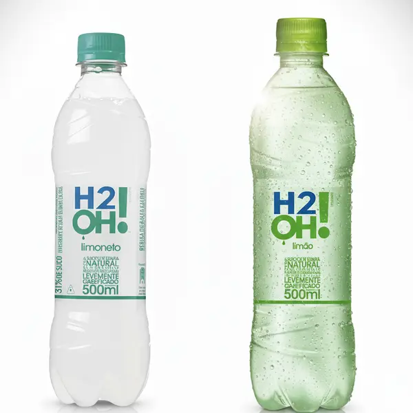 pesque-e-pague-santa-maria-fortaleza - H2O (500ml)