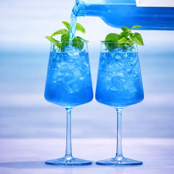 relaxx-lounge - Blaubeere