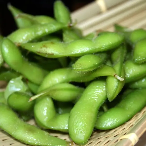 ristorante-dufu - Edamame 毛豆
