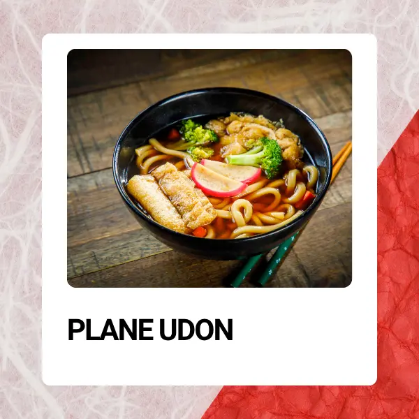 sake2me-ayce-sushi-chino - PLANE UDON