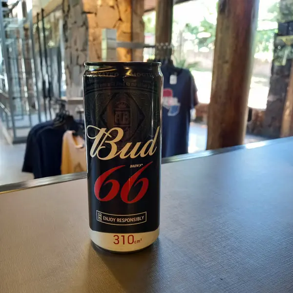 saltos-del-monday - Bud 66 lata