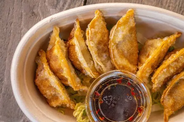 saucy-asian - POTSTICKERS