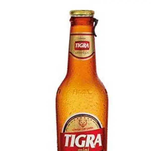 se-catedral-de-sao-jose - Tigra