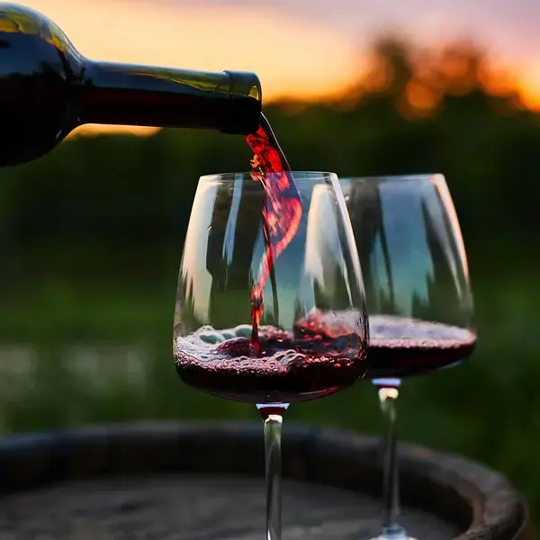 sea-garden-and-grill-tooting - Red Wines