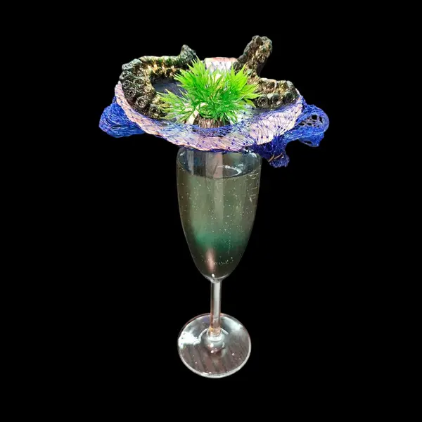 seagarden-and-grill-norbury - Black Pearl