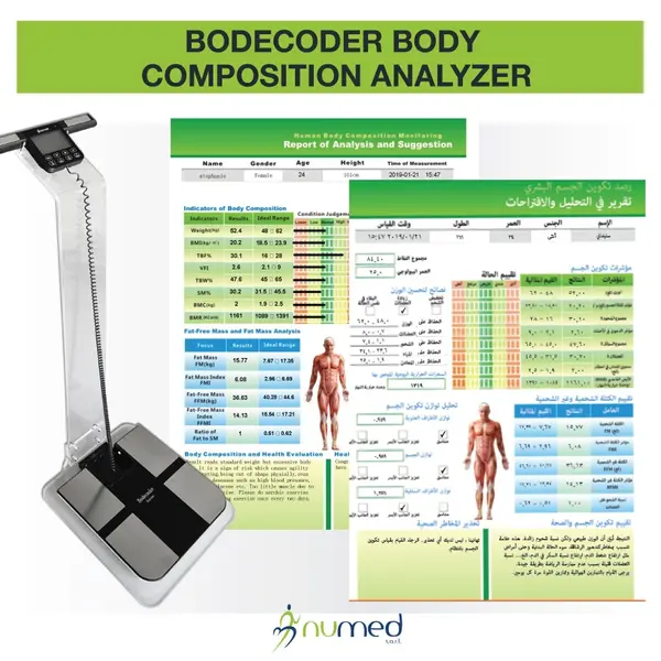 squad-101 - Body Composition Analysis