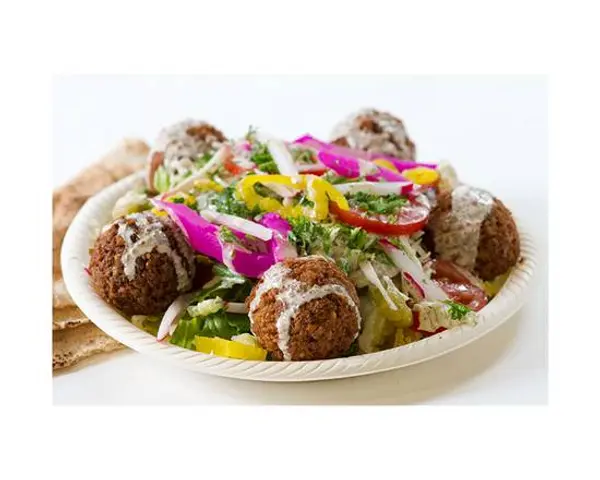 tarboosh - Falafel Shawarma Plate