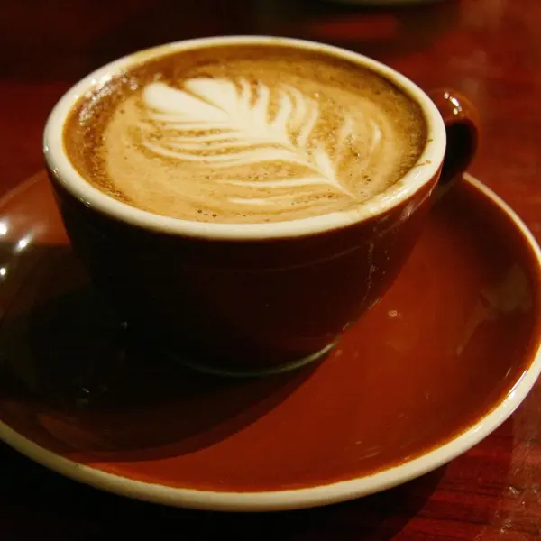 terrace-botanica - Mocchiato