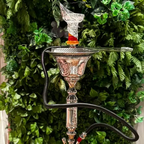 the-chill-lounge - شيشة بلوبيري عنب