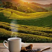 the-chill-lounge - المشروبات الساخنة