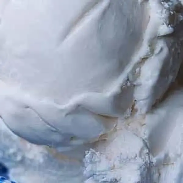 the-coconut-on-t - Coconut Ice Cream