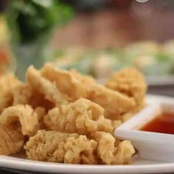 the-coconut-river-park - Fried Calamari