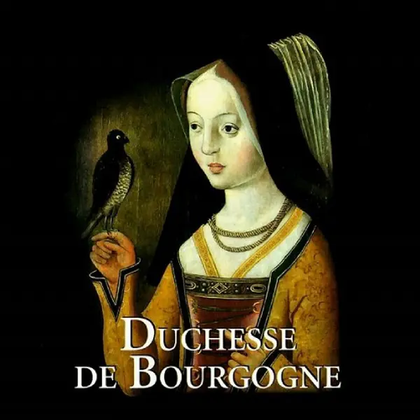 the-grey-cat - 🇧🇪 Duchesse de Bourgogne