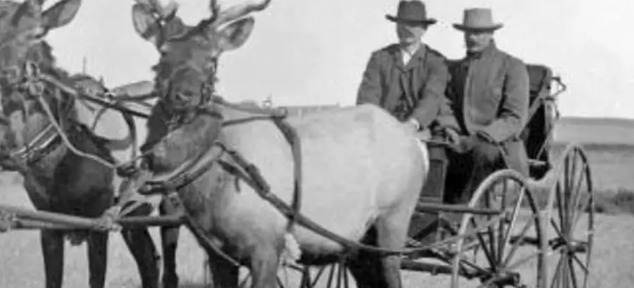 thunder-and-buttons-ii