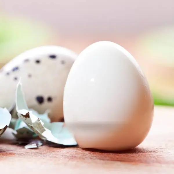 top-burmese-burma-joy - Boiled Quail Eggs