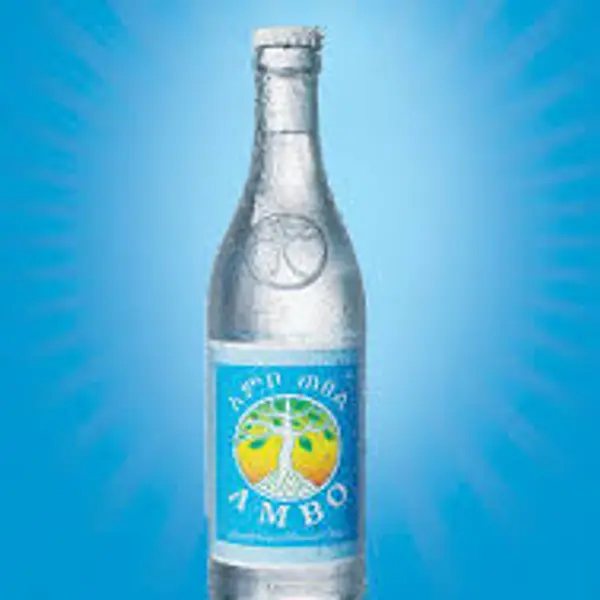 tourist-hotel - Ambo Mineral Water