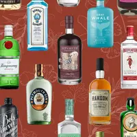 trojan-horse - GIN
