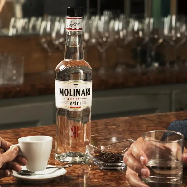 trojan-horse - SAMBUCA