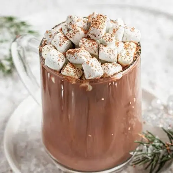 udupi-garden-fine-dine-restaurant-and - Hot chocolate