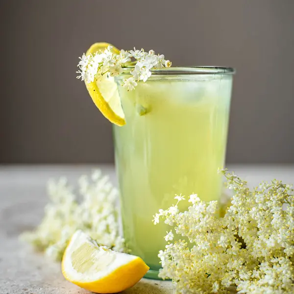 vanilla - ELDERFLOWER LEMONADE
