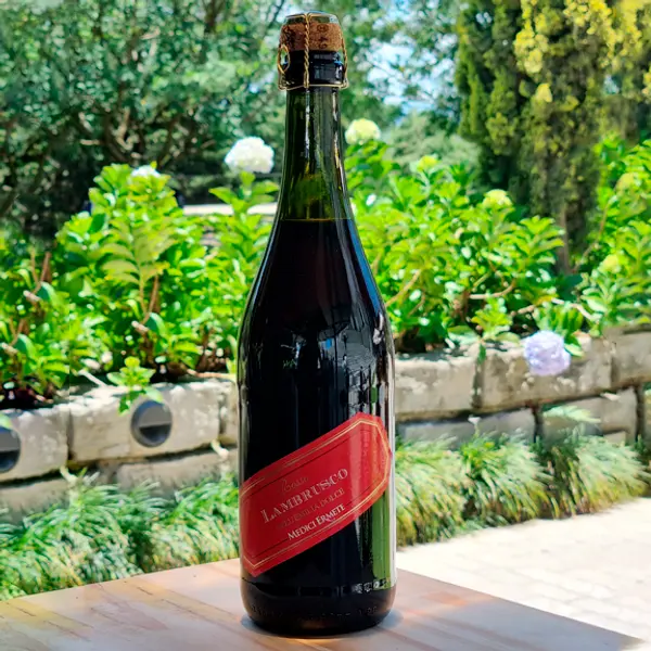 vinamor - Medici Ermete Lambrusco Rosso