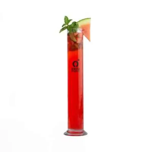 xero-degrees-kharghar - WATERMELON MINT