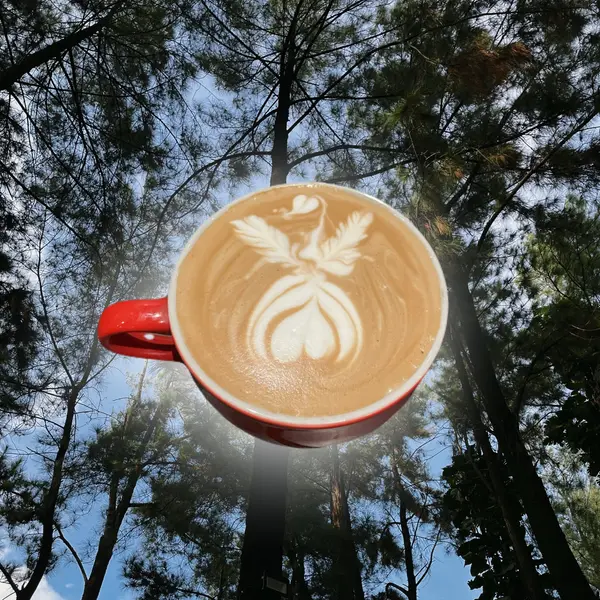 xindrom - Cafe Latte